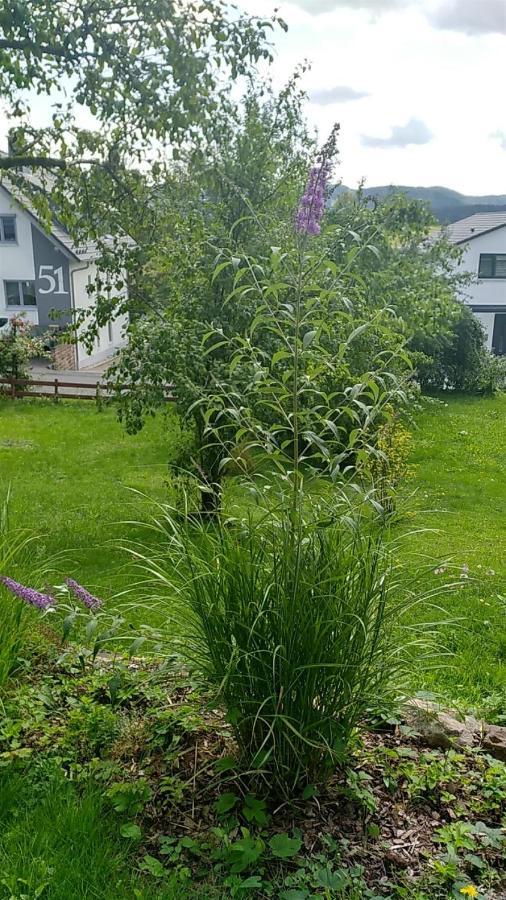 Ferienwohnung Vreni Герсфелд Екстериор снимка